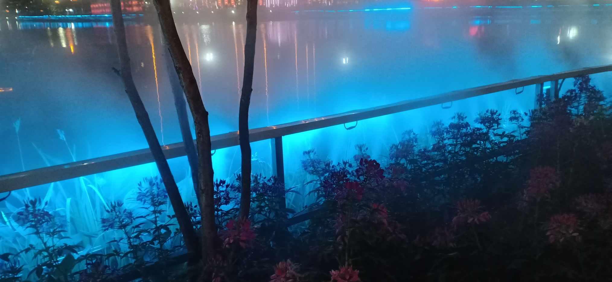 轻松问答,尽在焦虑症的表现症状有哪些蜗牛问答平台